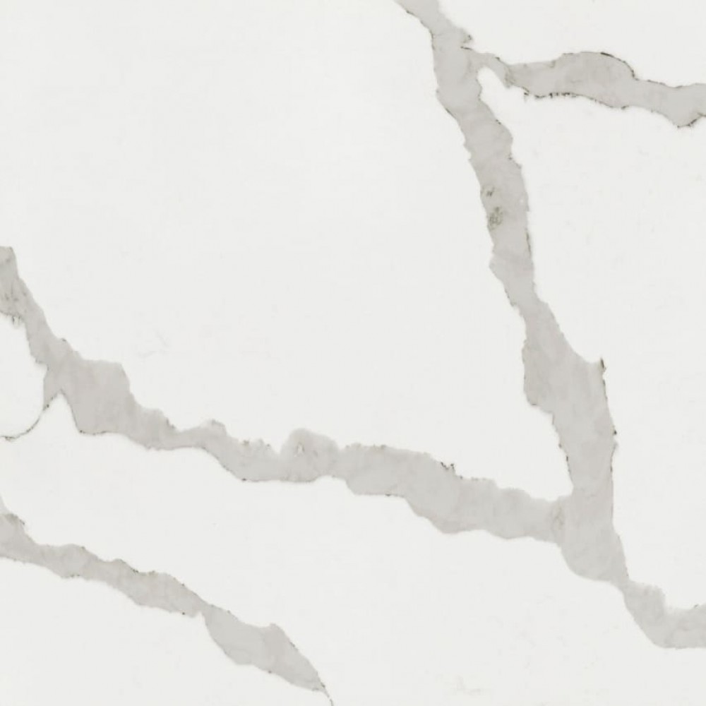 Nantucket Whale NW124